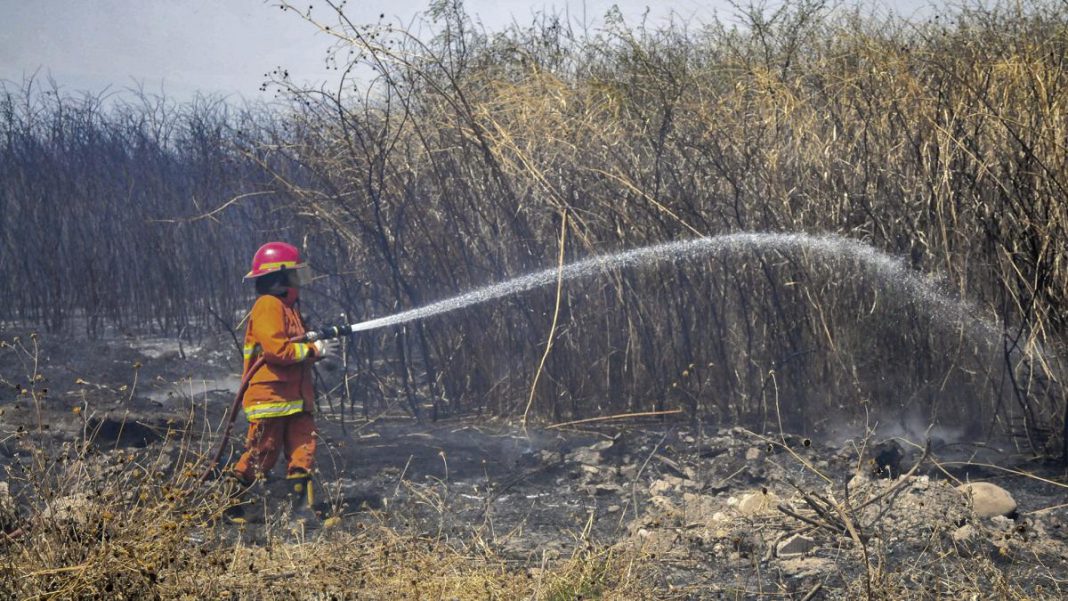 bomberos-continuan-combatiendo-importante-incendio-activo-en-el-norte-de-cordoba