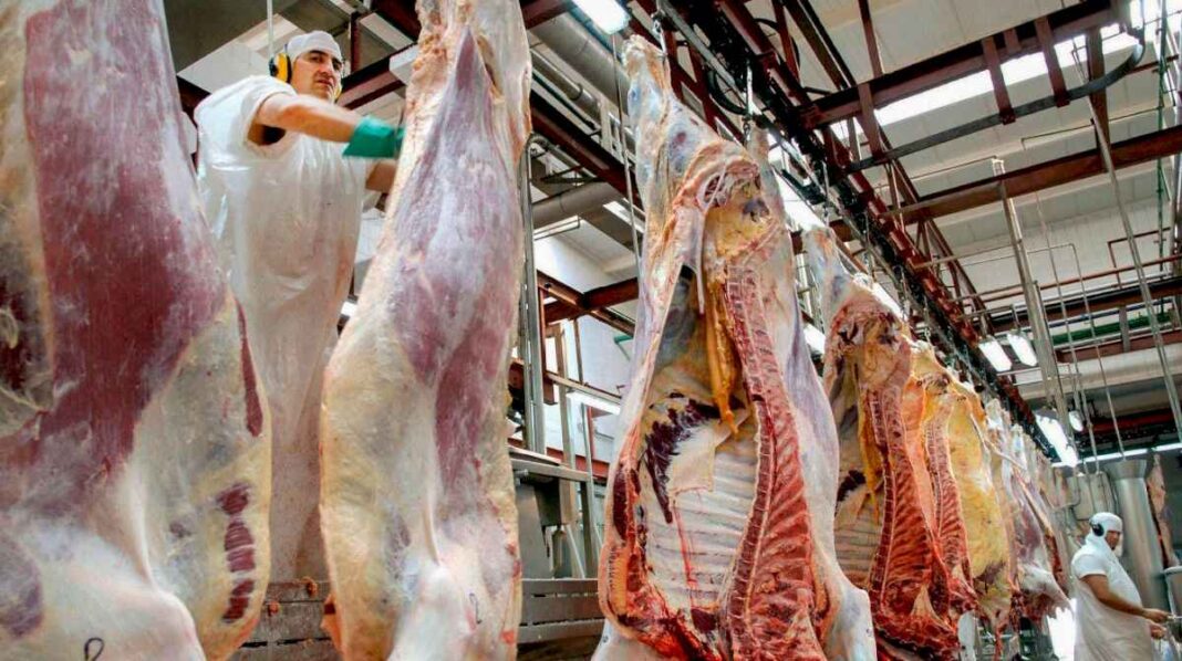 tras-la-quita-de-restricciones,-las-exportaciones-de-carne-vacuna-crecieron-un-24%-en-el-primer-trimestre