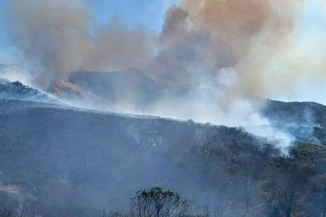 fuego-en-las-montanas-de-cordoba