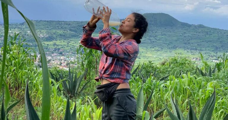 Festival del Pulque: días, horario y todo lo que debes saber sobre el evento que incluye cecina de Yecapixtla