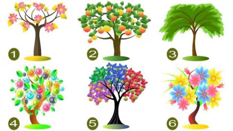 Test viral: las principales cualidades de tu personalidad según el árbol que elijas