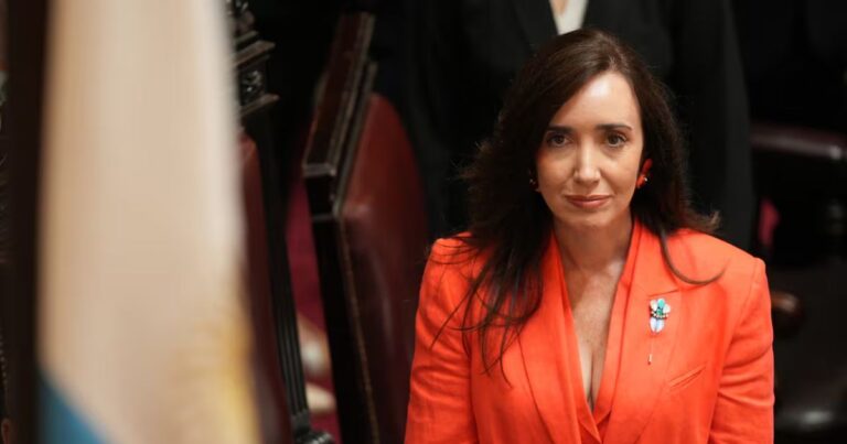 Democracia. Qué democracia defiende Villarruel? Negacionismo e hipocresía