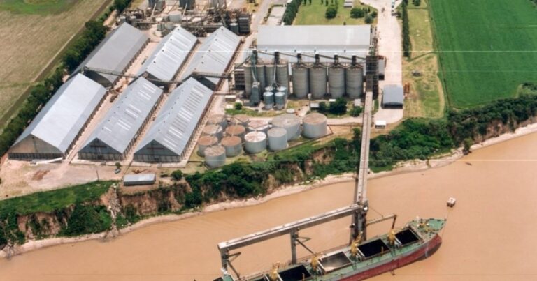 Tres multinacionales lideraron las exportaciones de granos y subproductos en Argentina