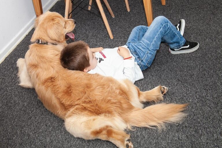 Se extiende la experiencia de asistir con perros a niños en situaciones judiciales