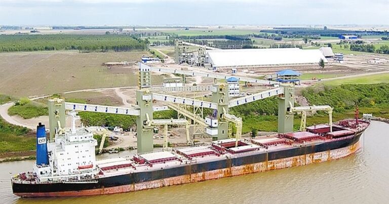 Impacto en el mercado mundial: la fusión entre Bunge-Viterra espera una aprobación clave de China