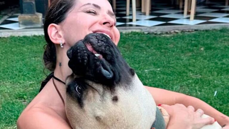 Una psicóloga canina habló del conflicto que tuvo la China Suárez con su perro Sakura: qué dijo