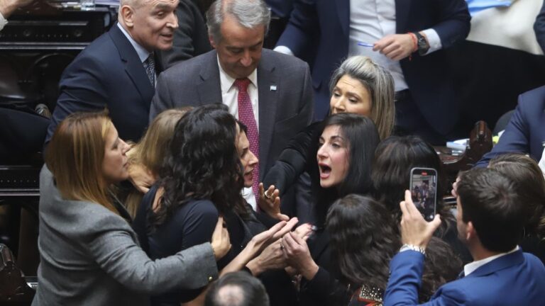 Show en Diputados: un escándalo con aroma a puesta en escena, funcional a los polos extremos