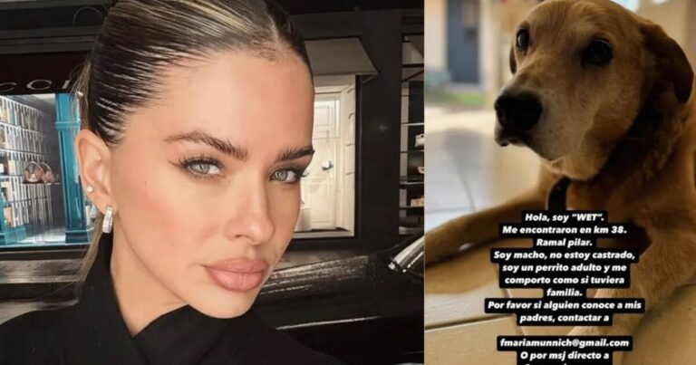 Toda la verdad: de qué se murió el perro de la China Suárez