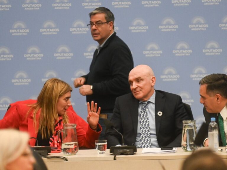 Los dos proyectos presentados por las provincias fueron enviados a Diputados para ser tratados