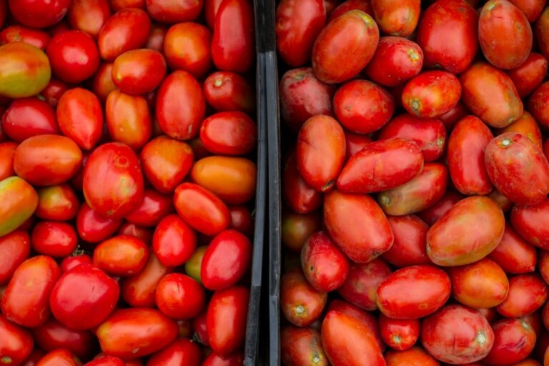 Suben los precios de frutas y hortalizas