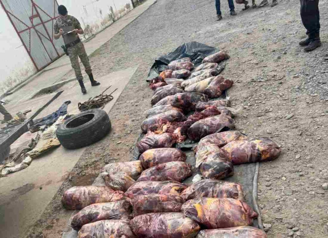 Operativo policial en campo rural de Puelén, La Pampa