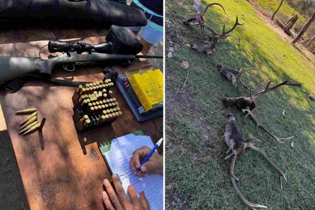 Operativo policial en zona rural de Telén, La Pampa, durante allanamiento por caza ilegal