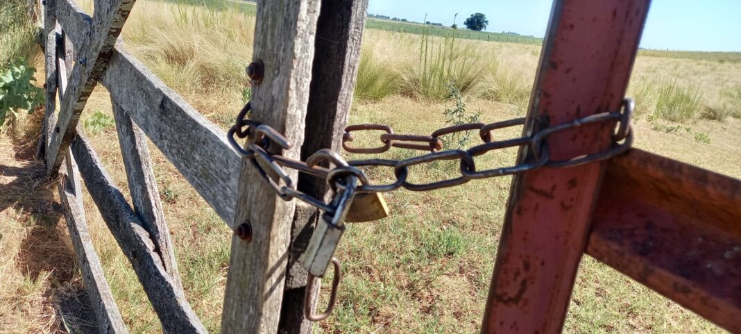 Campo rural en La Pampa con alambre y animales