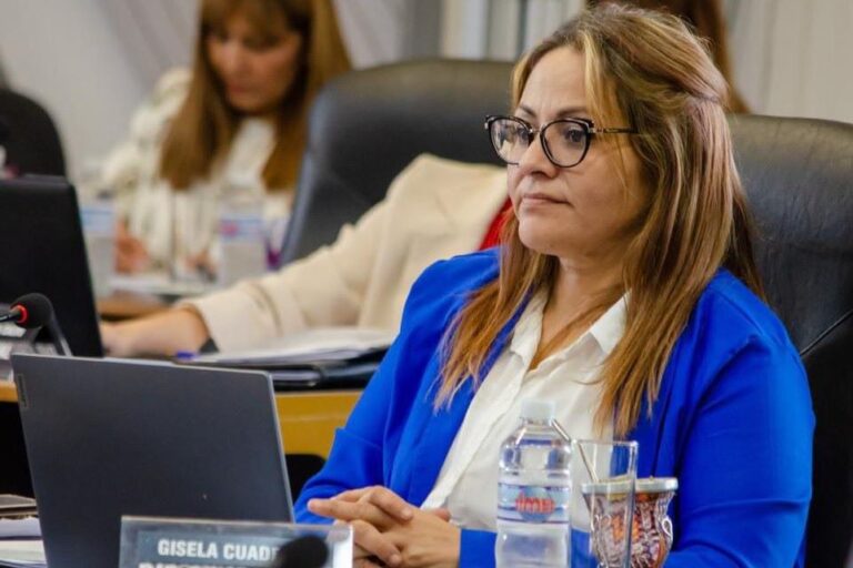 Diputada Gisela Cuadrado en la Legislatura de La Pampa, presentando proyecto sobre subculturas digitales.