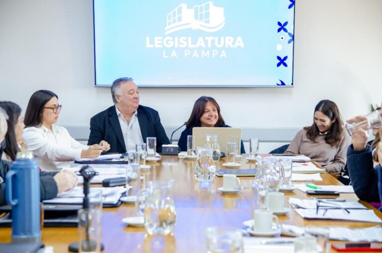 Sesión de la Cámara de Diputados de La Pampa