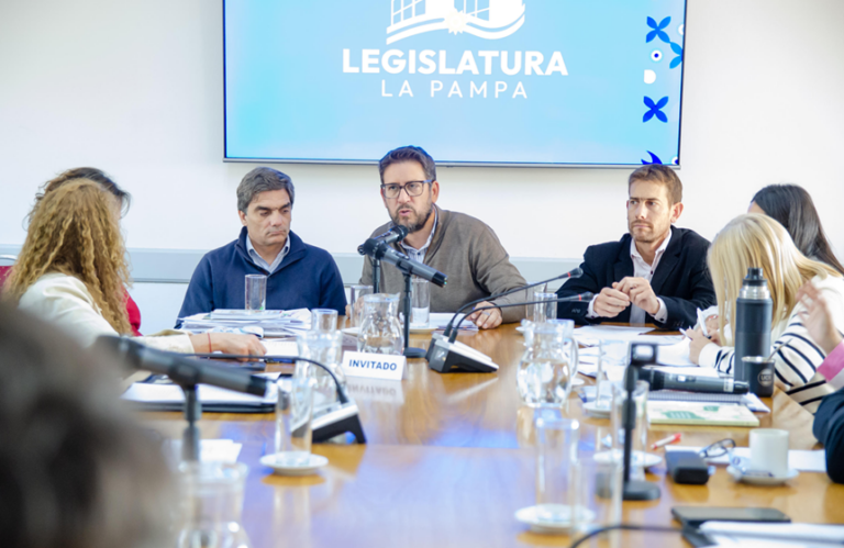 Sesión de comisión de la Cámara de Diputados