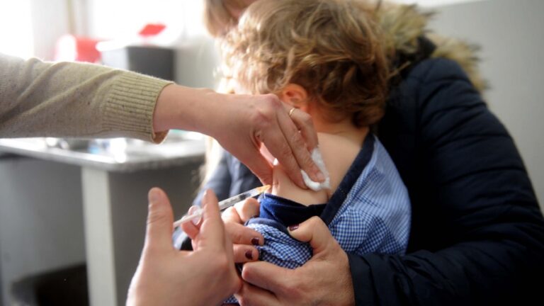 Vacunas listas para ser distribuidas en un centro de salud