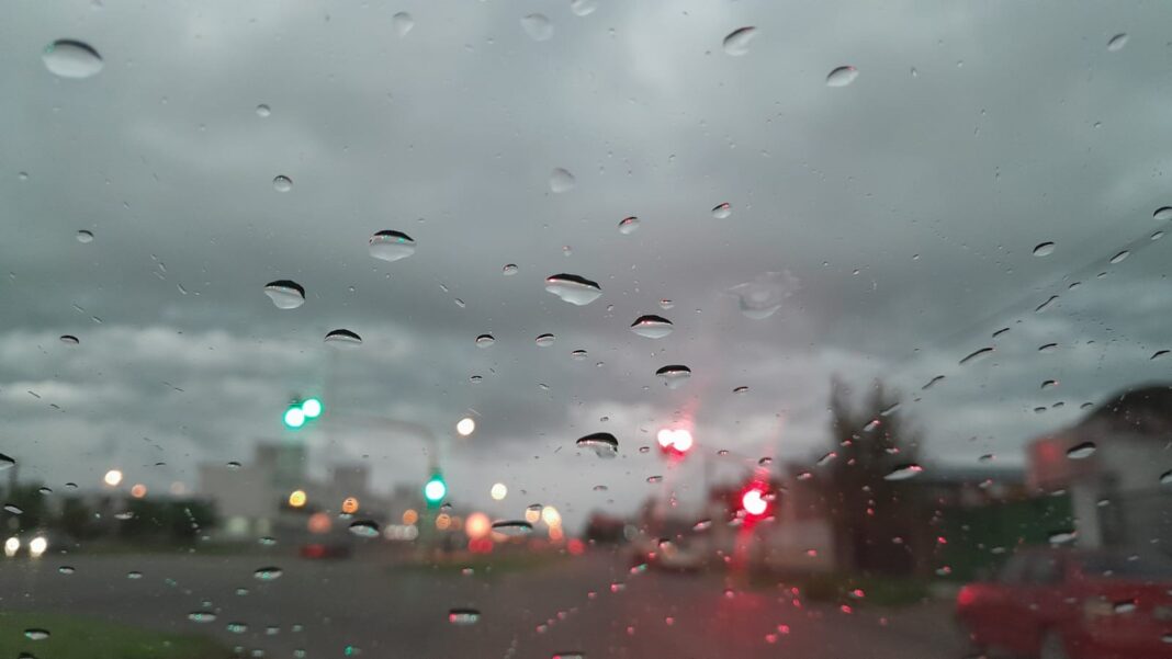 Calle anegada y árboles afectados por la tormenta en Santa Rosa, La Pampa.