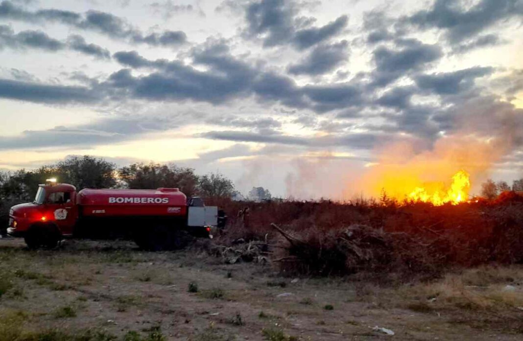 Bomberos trabajan para contener incendio de ramas y troncos cerca del Megaestadio de Santa Rosa