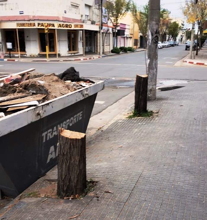 Árboles talados en una calle de Santa Rosa, La Pampa