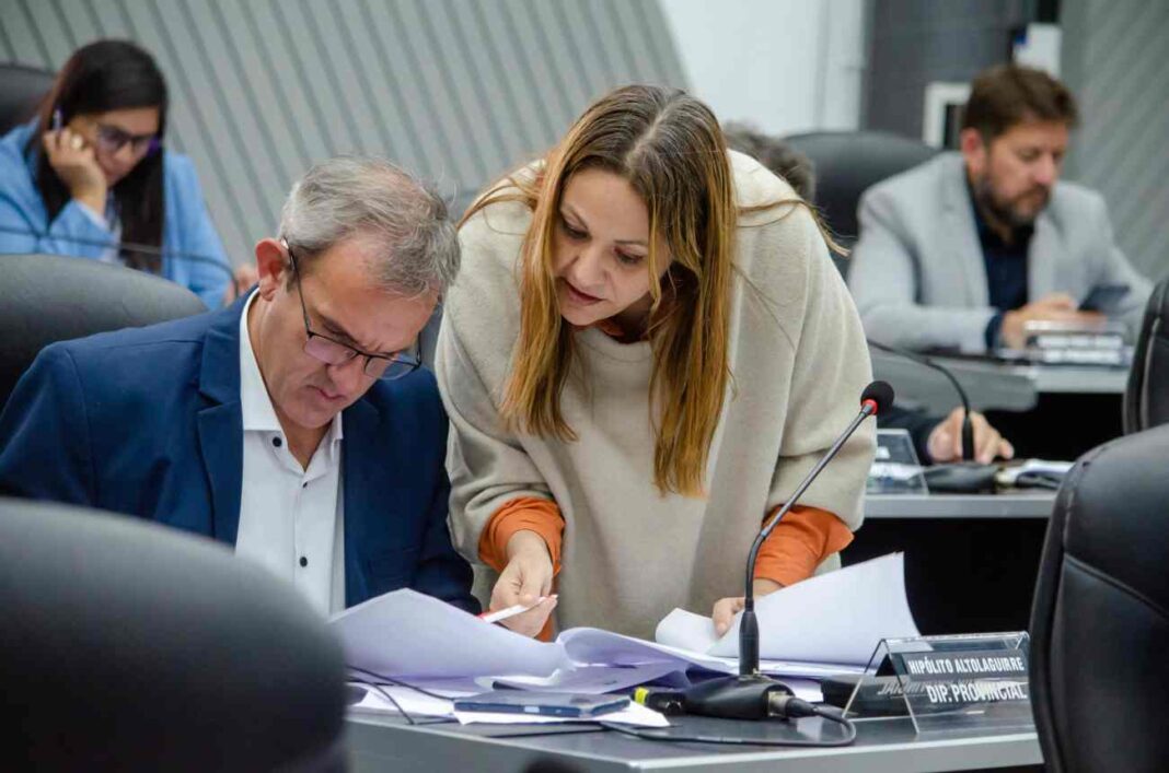 Diputada Gisela Cuadrado hablando en la Legislatura pampeana sobre las leyes de El Medanito