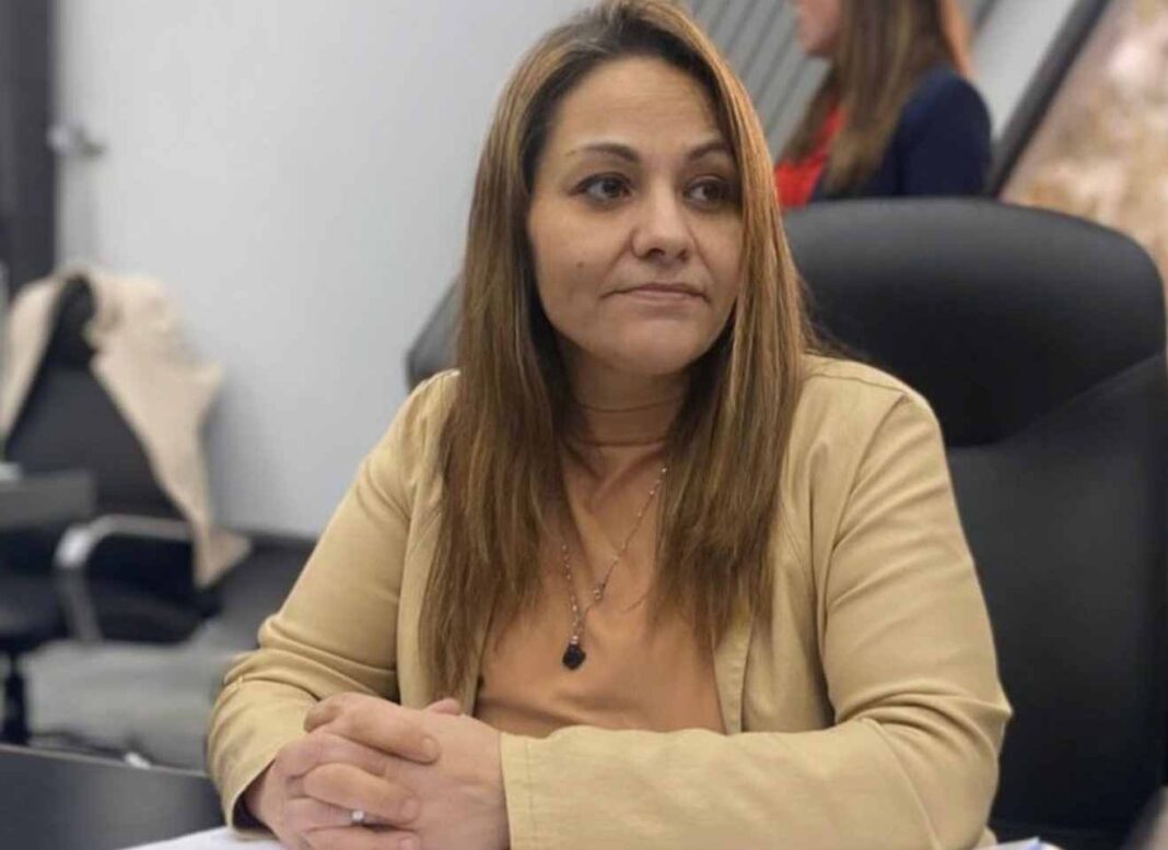 Sesión de la Cámara de Diputados de La Pampa donde se aprobó la emergencia en salud mental