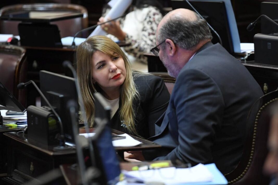 Senadores Daniel Kroneberger y Victoria Huala en el Senado de la Nación