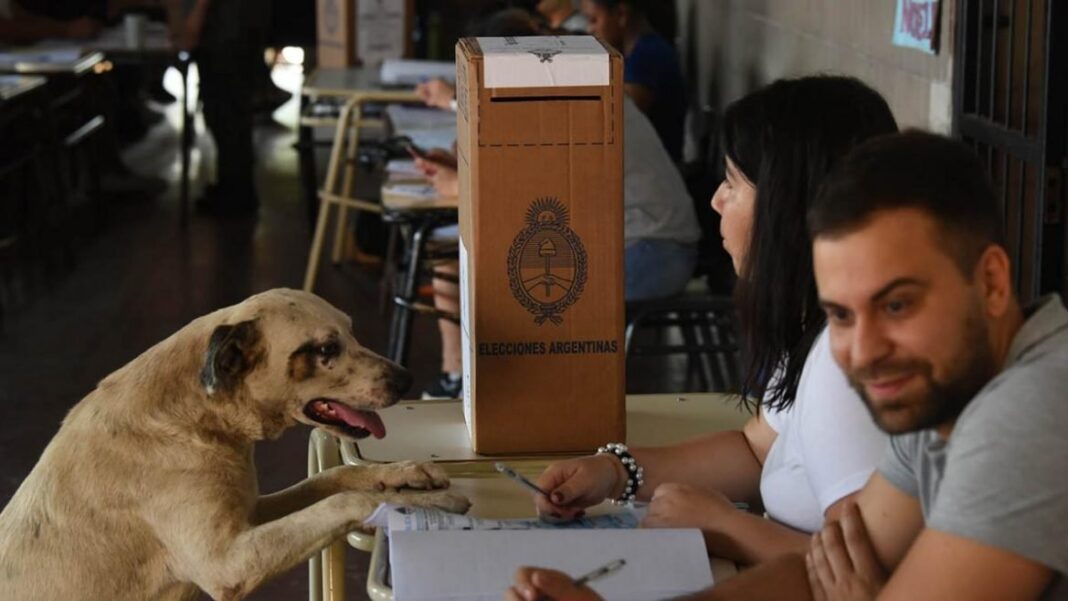 Dirigentes de la UCR y LLA en reunión en La Pampa