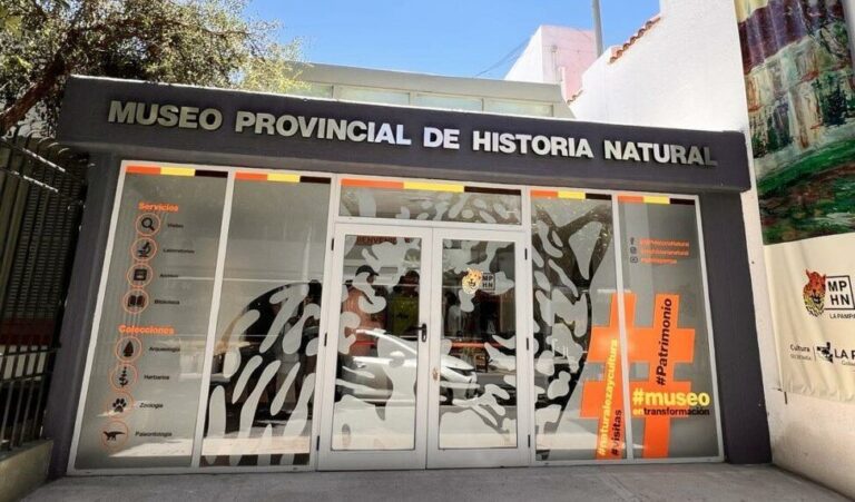 Cartel de la muestra Al Viento con lenguas de pueblos originarios